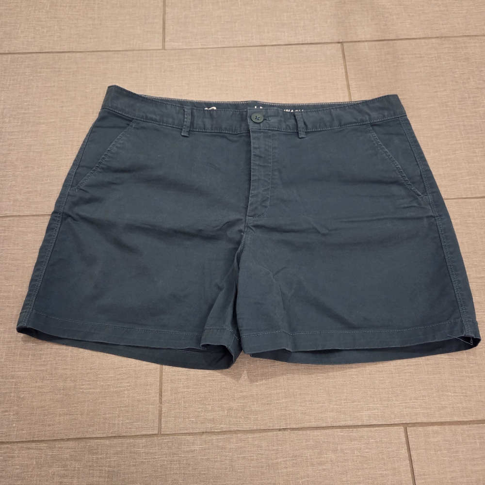 Eddie Bauer Teal Stretch Shorts